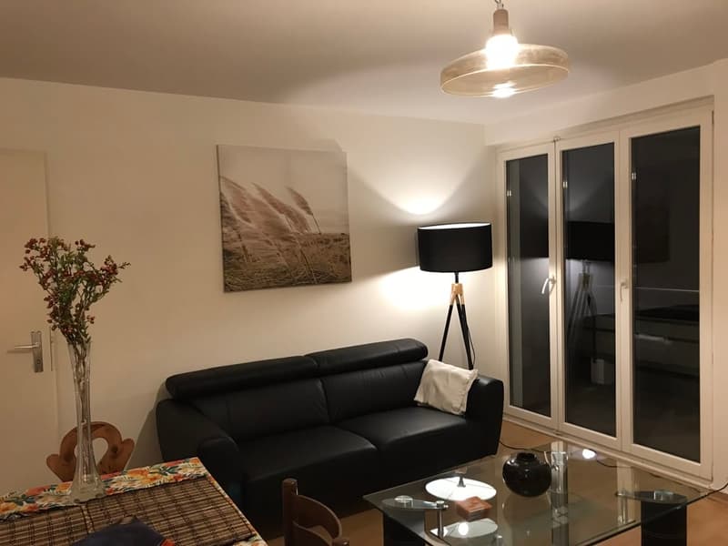 🏠 Charmantes 3.5-Zimmer-Wohnung mit Balkon in Adliswil – sofort verfügbar (1)