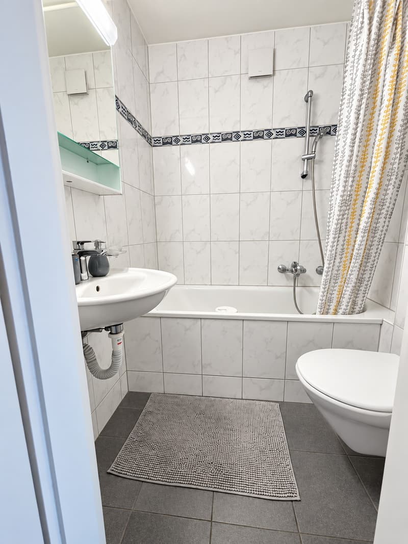 🏡 Fully Furnished 2.5-Room Apartment for Rent – Riehenring 143, 4058 Basel (15)
