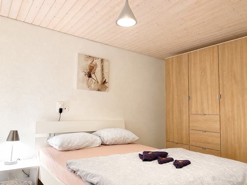 🏡Charming Furnished 2.5-Room Apartment in Langnau am Albis (4)