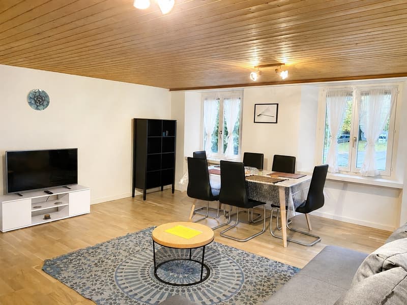 🏡Charming Furnished 2.5-Room Apartment in Langnau am Albis (2)