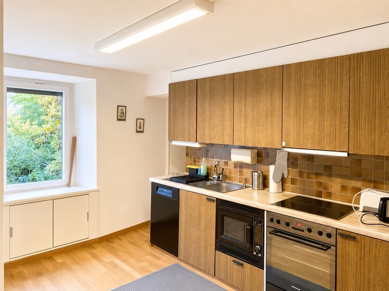 🏡Charming Furnished 2.5-Room Apartment in Langnau am Albis (6)
