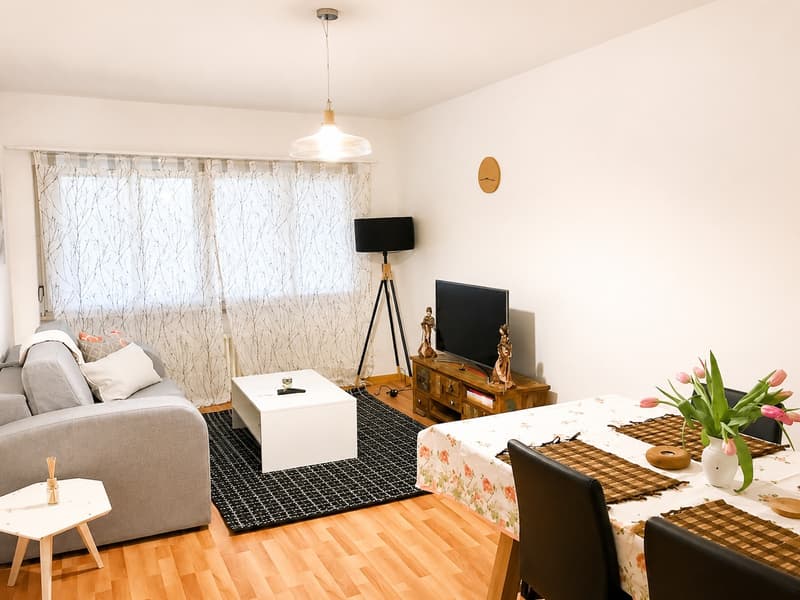 ✨ Möblierte 2.5-Zimmer-Wohnung mit Balkon 3. Stock, rechts Riehenring 143, 4058 Basel (1)