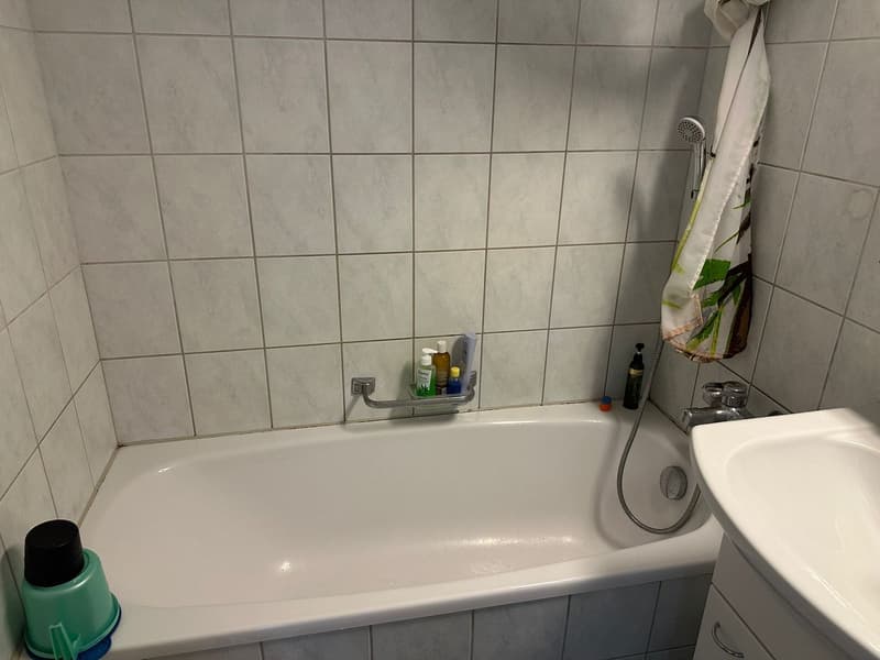🌇 Fully Furnished 2.5-Room Apartment in Opfikon | Short-Term Rental | Balcony | Private Laundry (10)