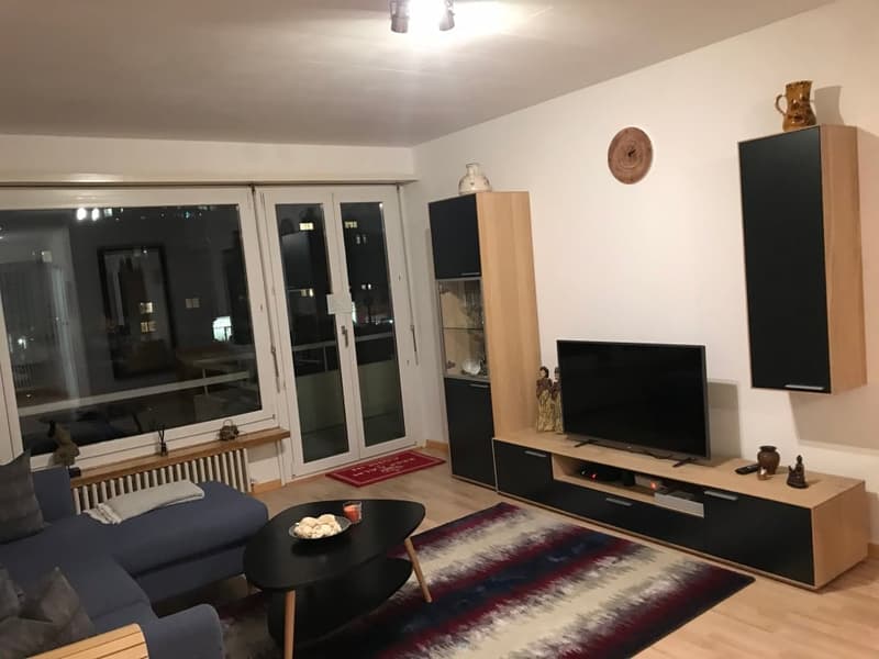✨Furnished 3.5-Room Apartment with Balcony and Beautiful Views in Wallisellen (2)