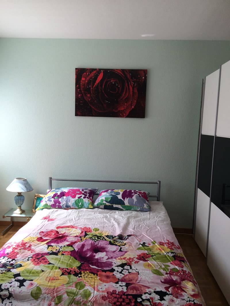 ⭐Charming Furnished 3.5-Room Apartment with Balcony in Opfikon (6)