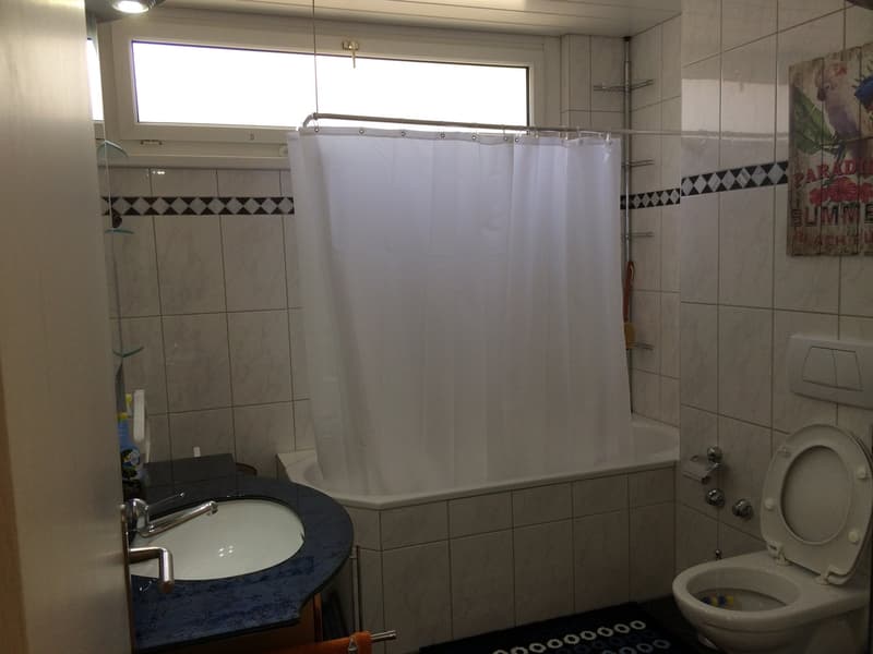 ⭐Charming Furnished 3.5-Room Apartment with Balcony in Opfikon (13)