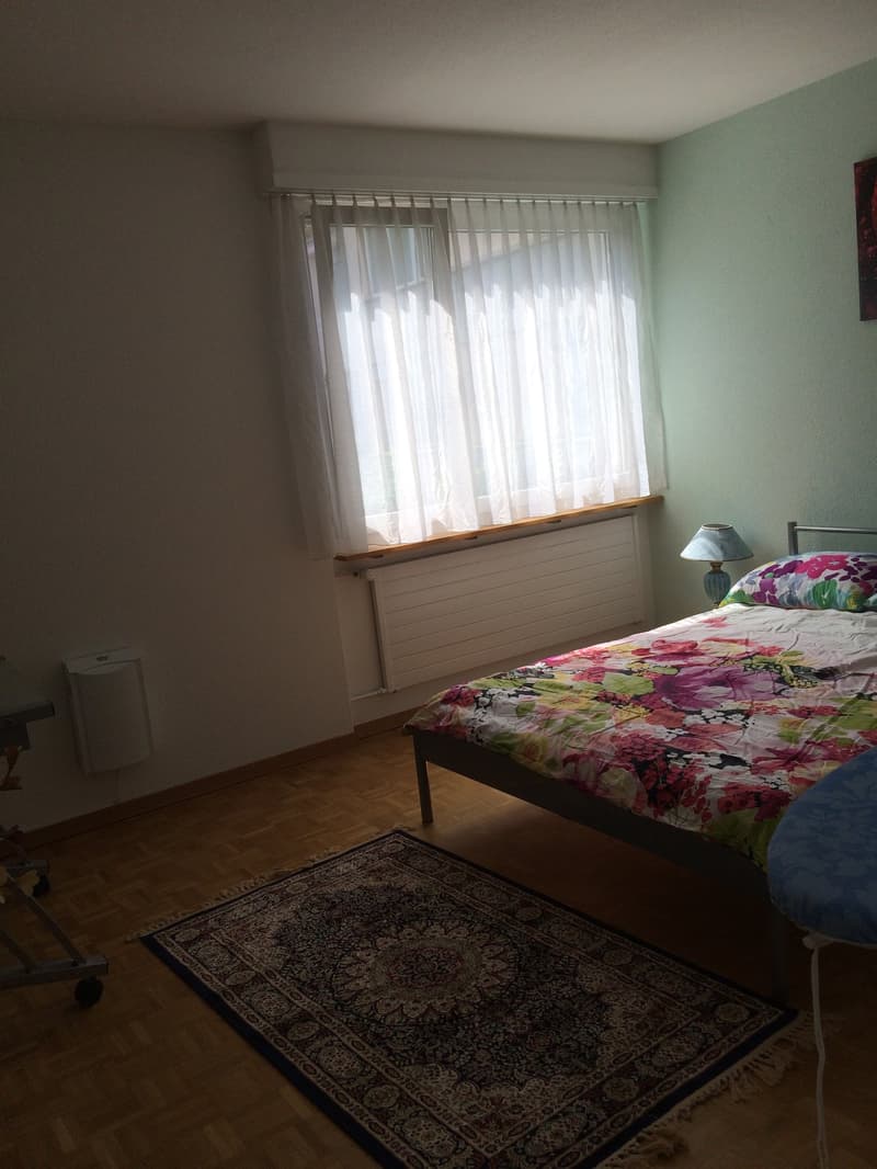 ⭐Charming Furnished 3.5-Room Apartment with Balcony in Opfikon (8)