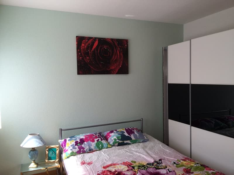 ⭐Charming Furnished 3.5-Room Apartment with Balcony in Opfikon (7)