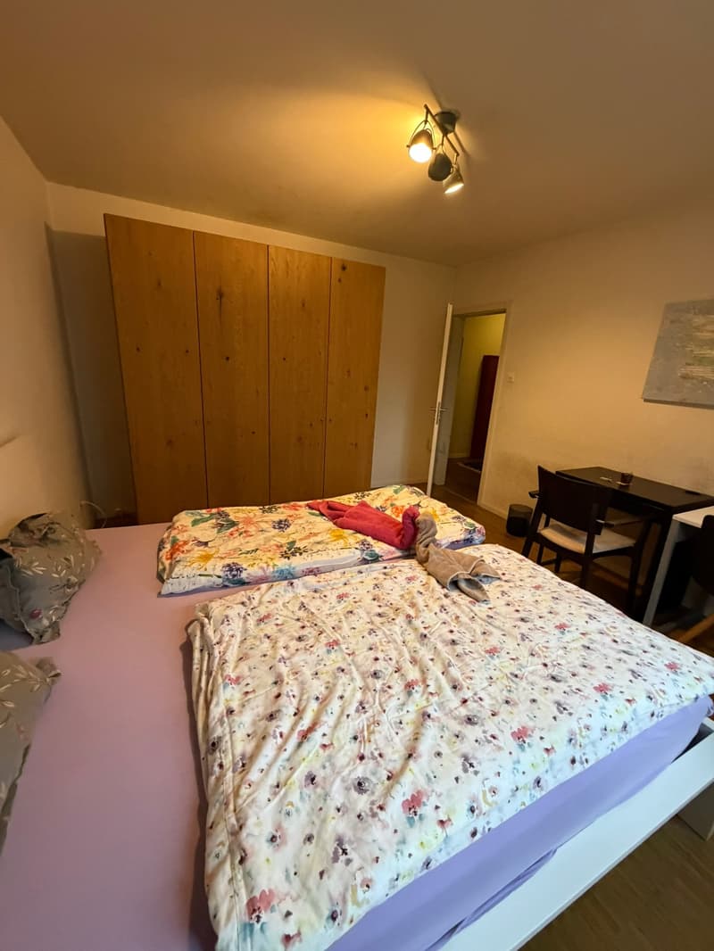 🏡Charming Furnished 2.5-Room Apartment with Balcony in Zürich Oerlikon (7)