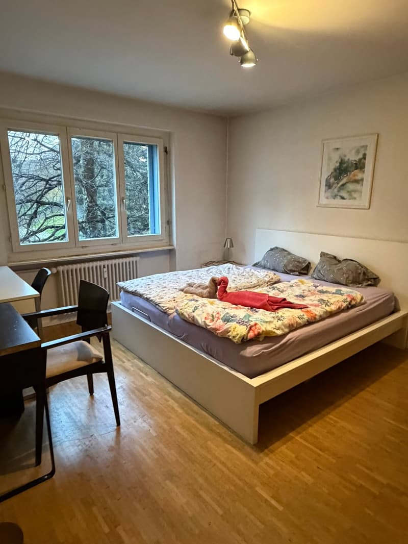 🏡Charming Furnished 2.5-Room Apartment with Balcony in Zürich Oerlikon (5)