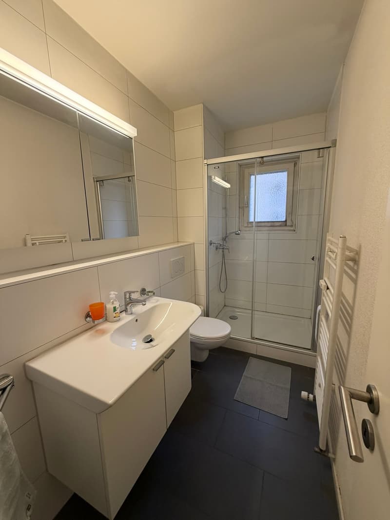 🏡Charming Furnished 2.5-Room Apartment with Balcony in Zürich Oerlikon (10)