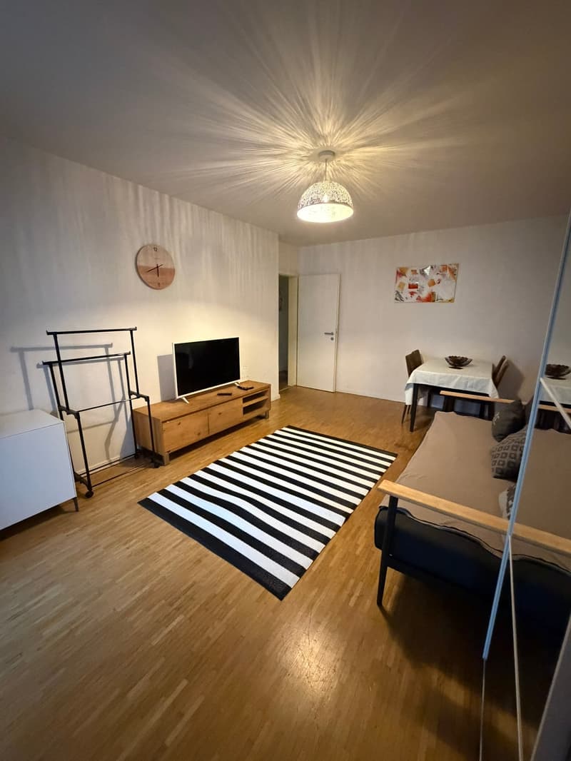 🏡Charming Furnished 2.5-Room Apartment with Balcony in Zürich Oerlikon (2)