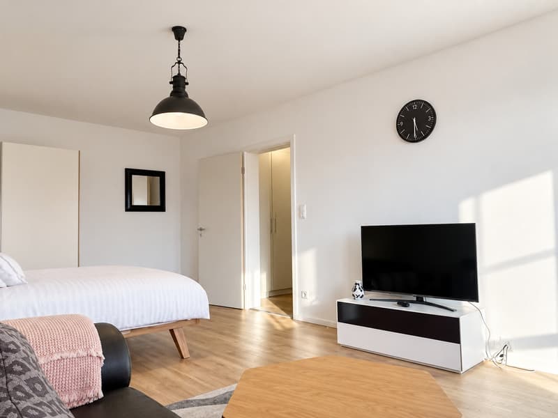 🏡 Fully Furnished 1.5-Room Apartment for Rent – Überlandstrasse, 8051 Zürich (2)