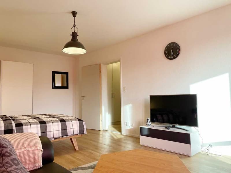 🏡 Fully Furnished 1.5-Room Apartment for Rent – Überlandstrasse, 8051 Zürich (2)