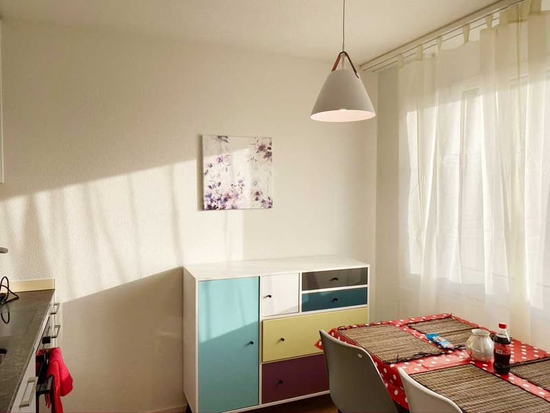 🏡 Fully Furnished 1.5-Room Apartment for Rent – Überlandstrasse, 8051 Zürich (4)