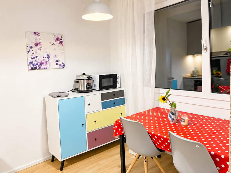 🏡 Fully Furnished 1.5-Room Apartment for Rent – Überlandstrasse, 8051 Zürich (4)