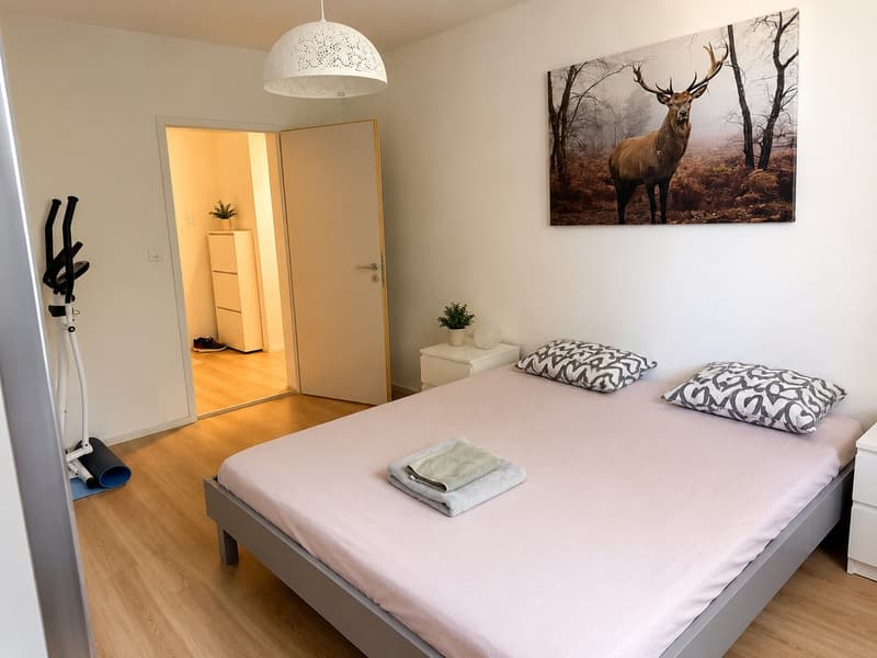 ✨Fully Furnished 2.5-Room Apartment with Balcony in Zürich (4)