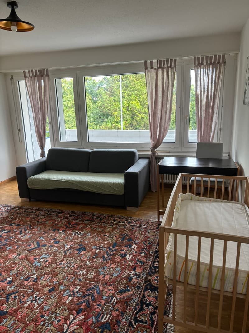 ✨ Fully Furnished 2.5-Room Apartment in Quiet Dübendorf (2)