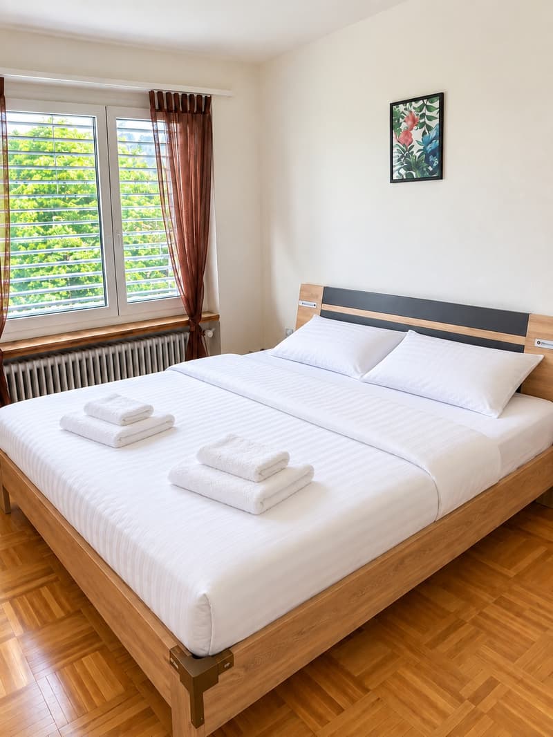 ✨ Fully Furnished 2.5-Room Apartment in Quiet Dübendorf (5)