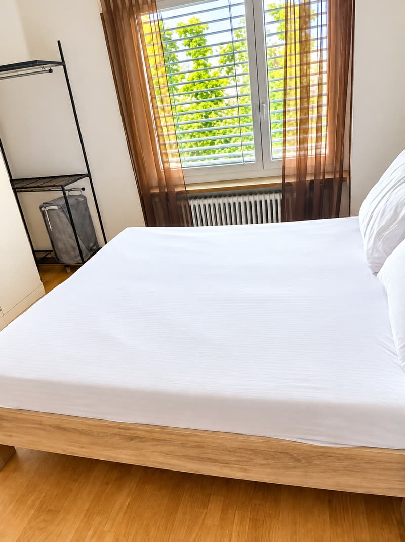 ✨ Fully Furnished 2.5-Room Apartment in Quiet Dübendorf (6)