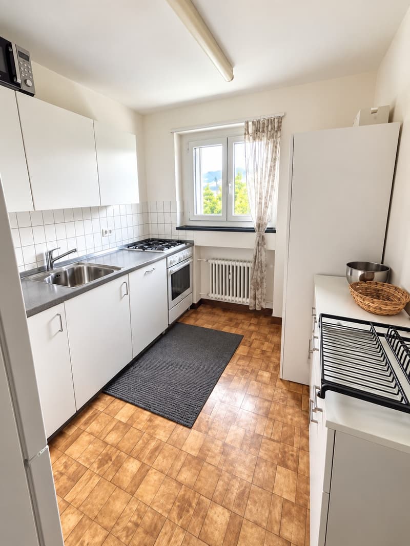 ✨ Fully Furnished 2.5-Room Apartment in Quiet Dübendorf (9)