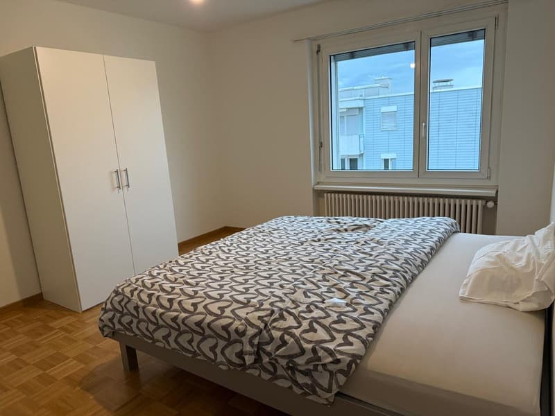 ✨Charming Furnished 2.5-Room Apartment with Balcony in Dübendorf (4)