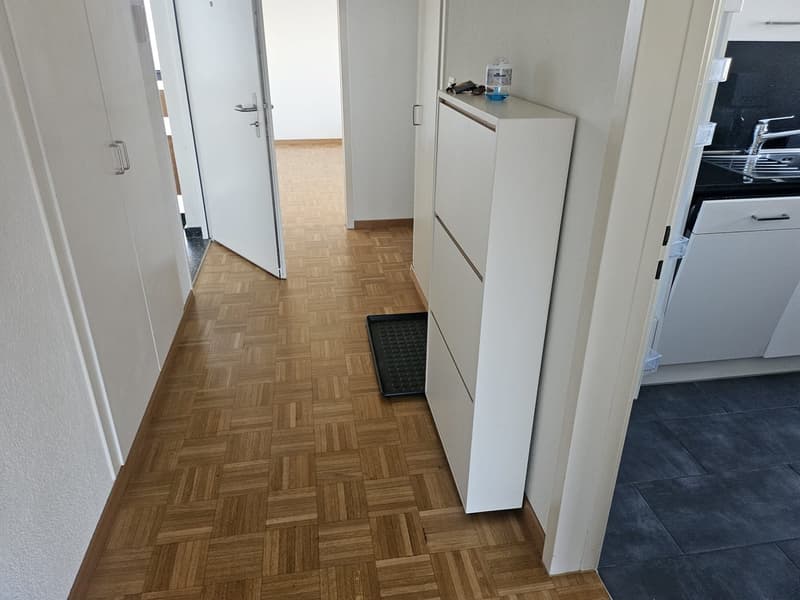 ✨Charming Furnished 2.5-Room Apartment with Balcony in Dübendorf (12)