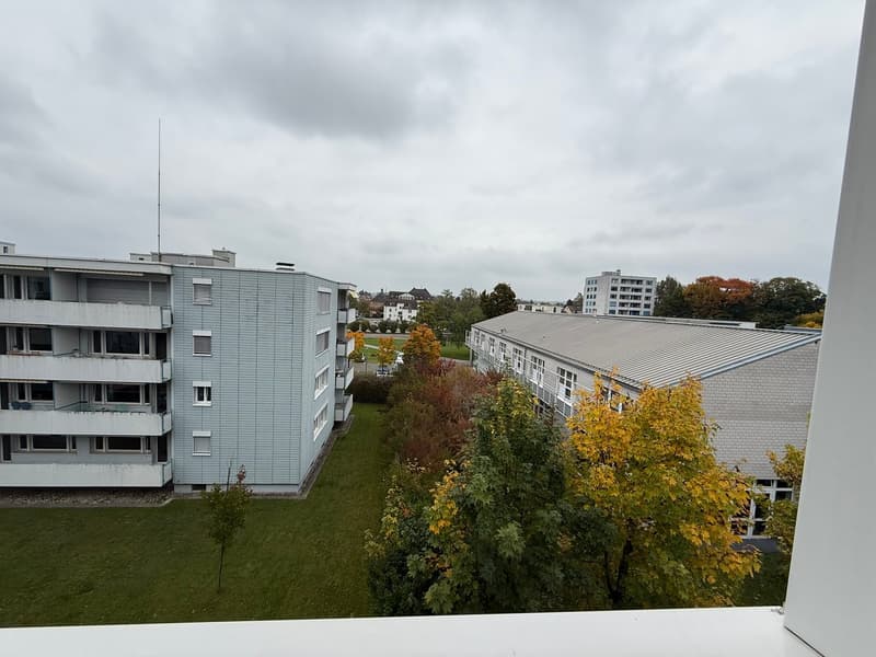 ✨Charming Furnished 2.5-Room Apartment with Balcony in Dübendorf (15)