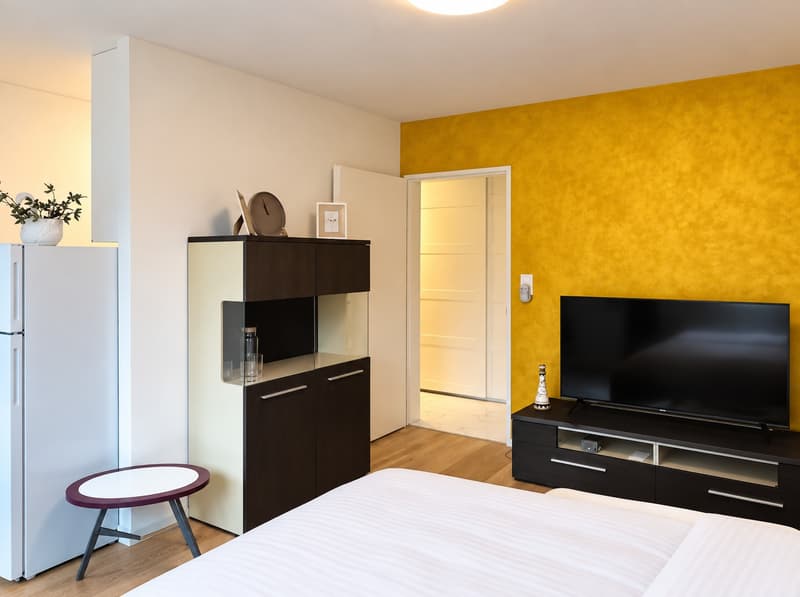 ✨Fully Furnished 1.5-Room Apartment in Langnau am Albis (3)