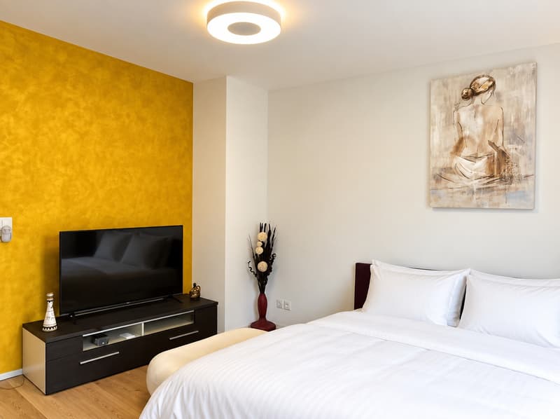 ✨Fully Furnished 1.5-Room Apartment in Langnau am Albis (2)
