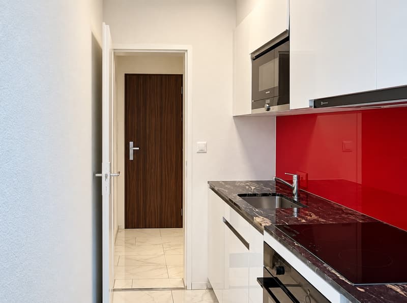 ✨Fully Furnished 1.5-Room Apartment in Langnau am Albis (7)