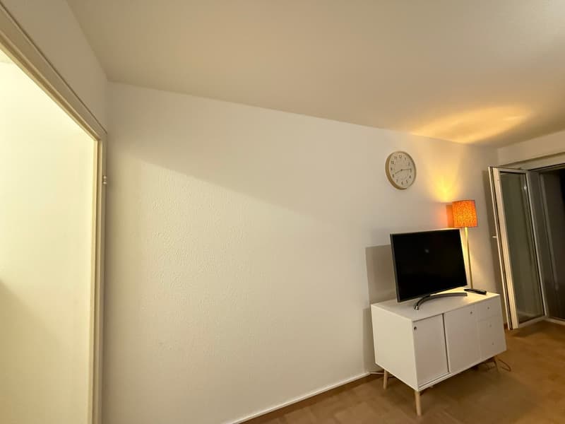 🏡 Fully Furnished 1.5-Room Apartment with Balcony in Dübendorf (6)