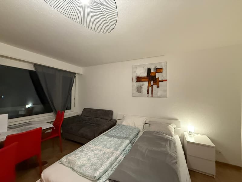 🏡 Fully Furnished 1.5-Room Apartment with Balcony in Dübendorf (3)