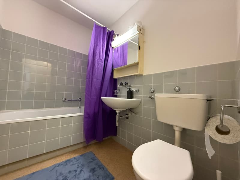 🏡 Fully Furnished 1.5-Room Apartment with Balcony in Dübendorf (11)
