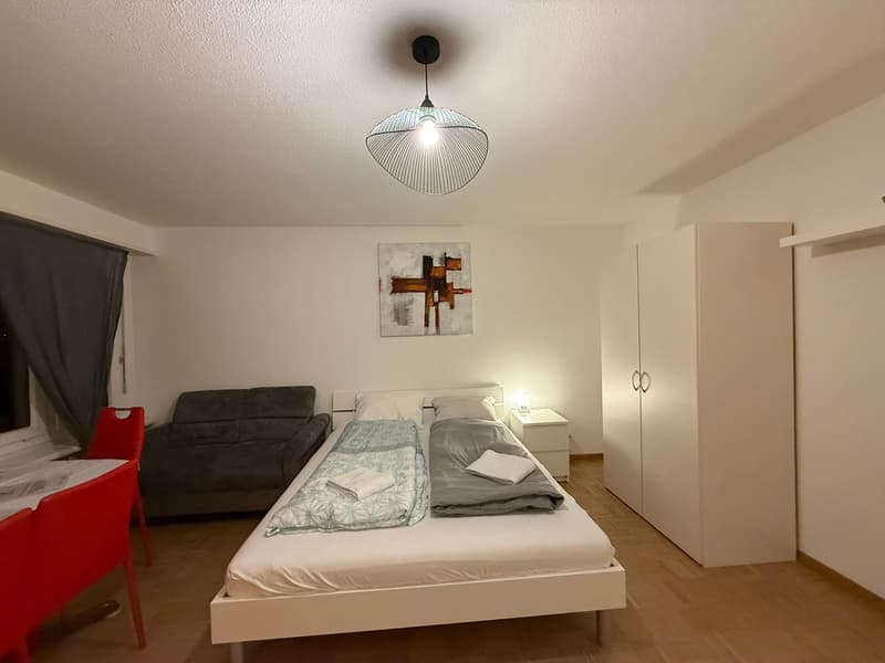 🏡 Fully Furnished 1.5-Room Apartment with Balcony in Dübendorf (2)