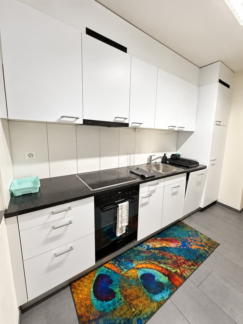 🏡Charming Furnished 2.5-Room Apartment with Balcony in Zürich Oerlikon (9)