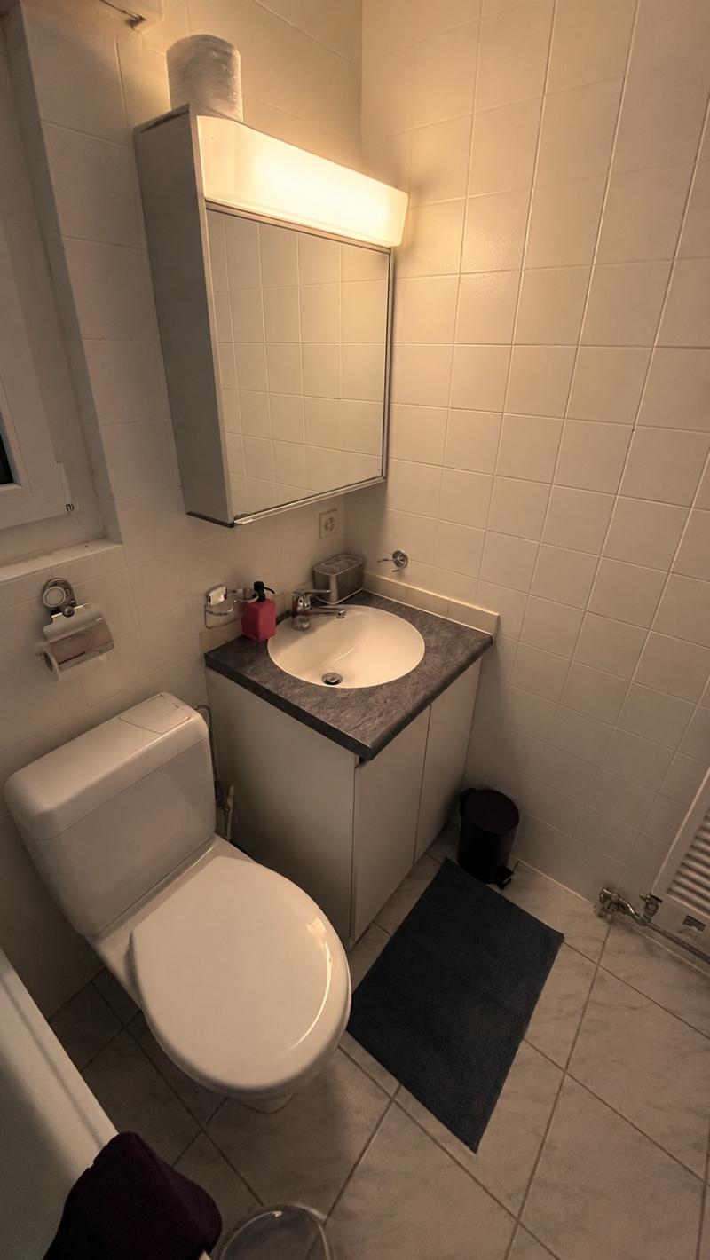 💎Charming Furnished 2.5-Room Apartment with Balcony and Beautiful Views in Adliswil (12)