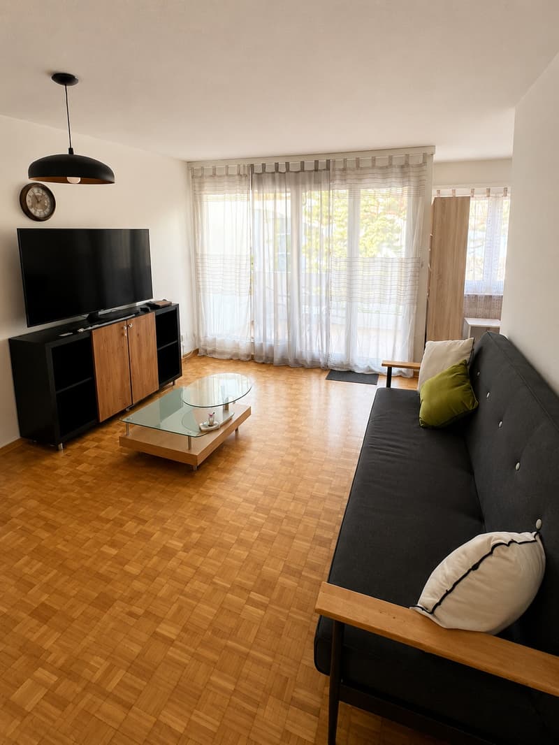 💎Charming Furnished 2.5-Room Apartment with Balcony and Beautiful Views in Adliswil (2)