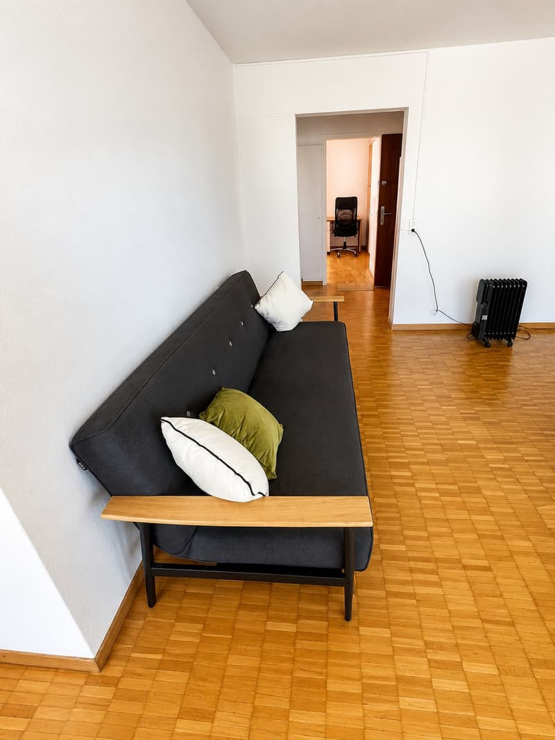 💎Charming Furnished 2.5-Room Apartment with Balcony and Beautiful Views in Adliswil (5)