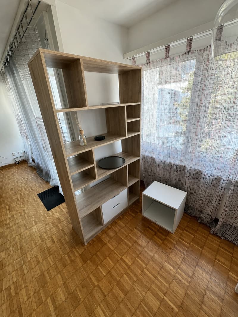 💎Charming Furnished 2.5-Room Apartment with Balcony and Beautiful Views in Adliswil (8)