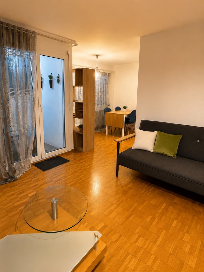 💎Charming Furnished 2.5-Room Apartment with Balcony and Beautiful Views in Adliswil (4)