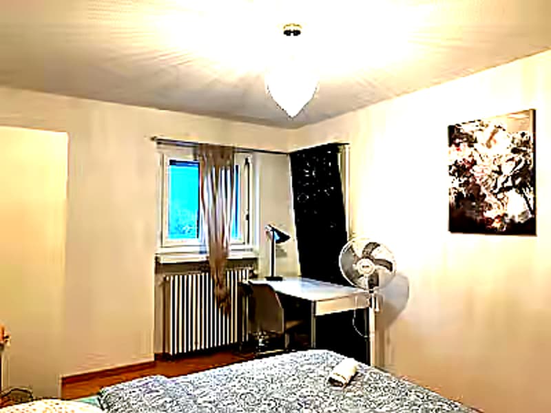 💎Charming Furnished 4.5-Room Apartment with Balcony in Dübendorf (17)