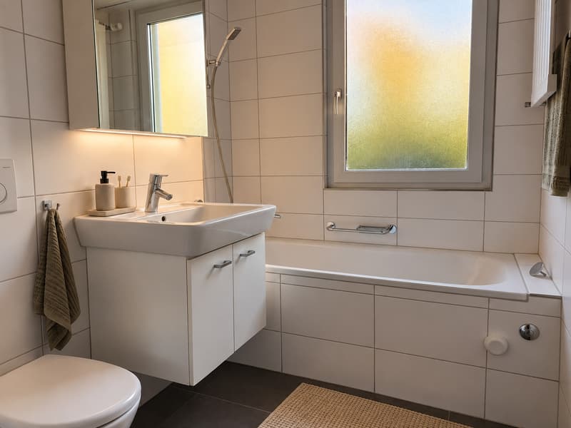 Newly Furnished 3.5-Room Apartment with Balcony and Beautiful Views in Zürich Oerlikon (5)