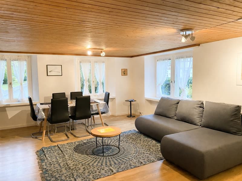 🌟 Furnished 2.5-Room Apartment in Langnau am Albis (1)