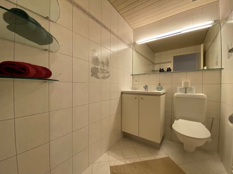 💎 Elegant Furnished 4.5-Room Home with a Beautiful Balcony in Seebach (25)