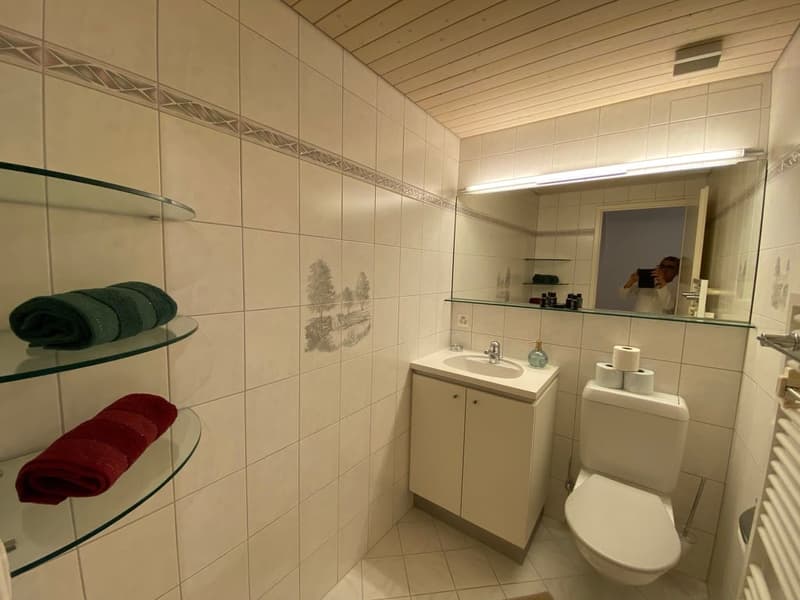 💎 Elegant Furnished 4.5-Room Home with a Beautiful Balcony in Seebach (24)