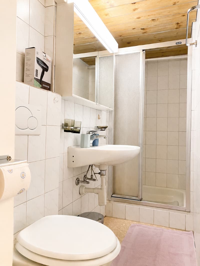 🌟 Furnished 2.5-Room Apartment in Langnau am Albis (9)