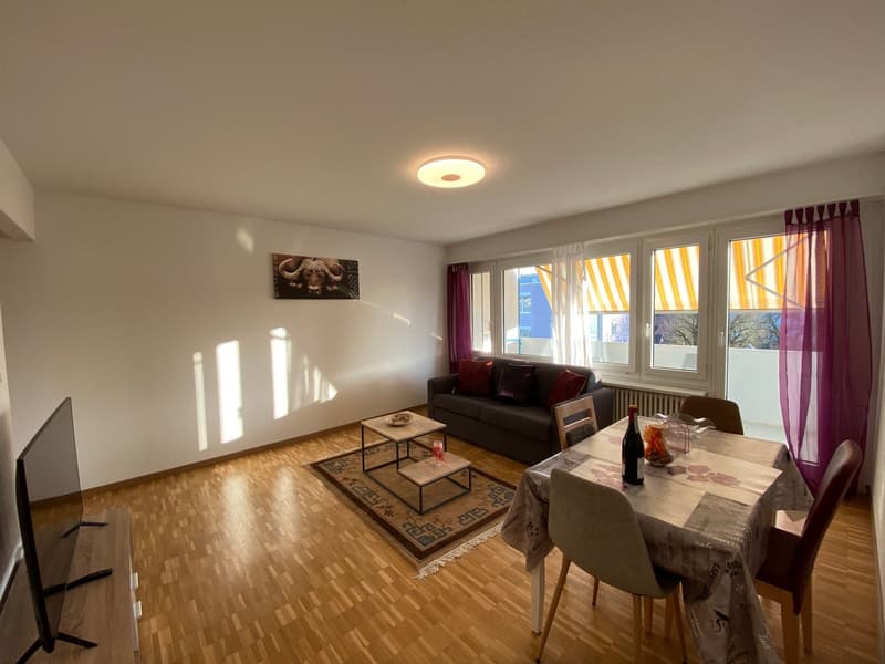 🏡 Furnished 2.5-Room Apartment with Private Balcony in Dübendorf – 8600 (1)