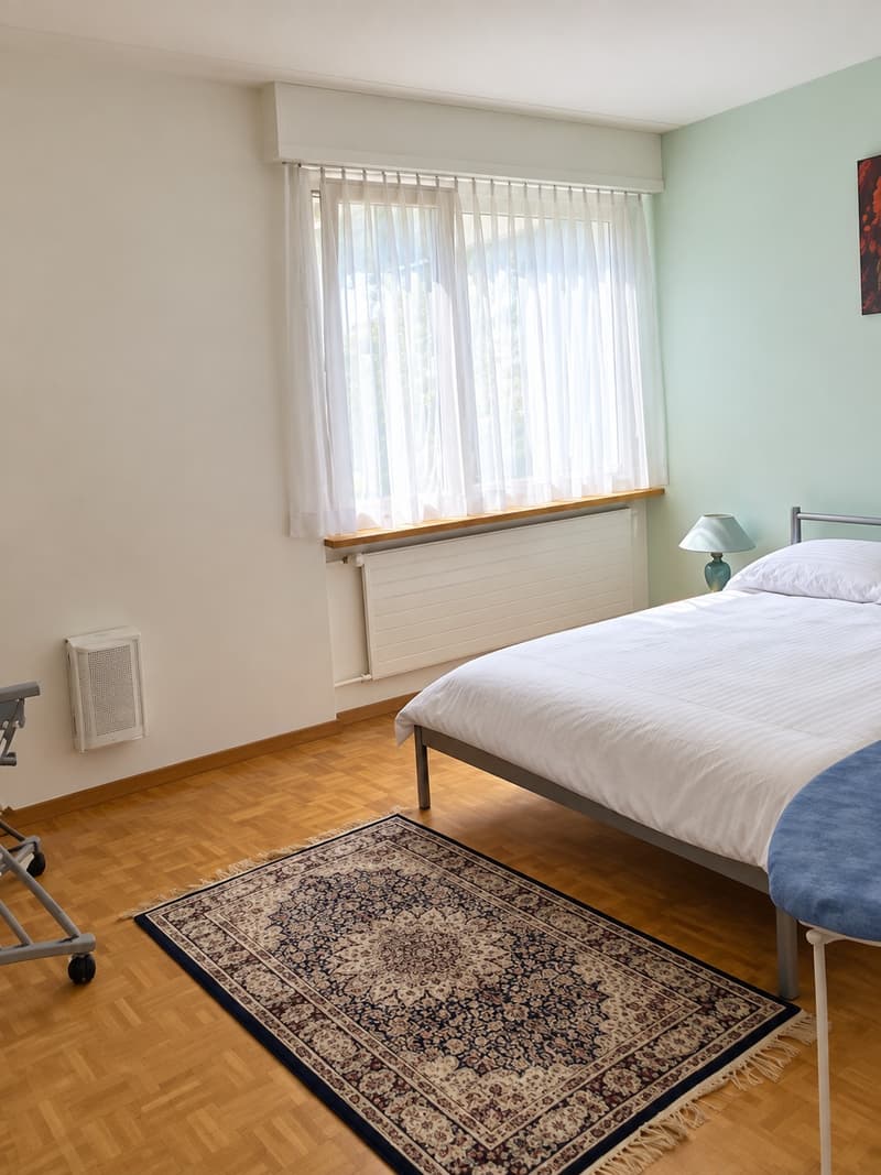 ⭐Charming Furnished 3.5-Room Apartment with Balcony in Opfikon (9)