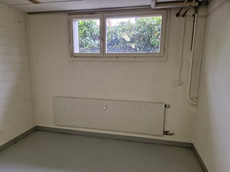 Fenster